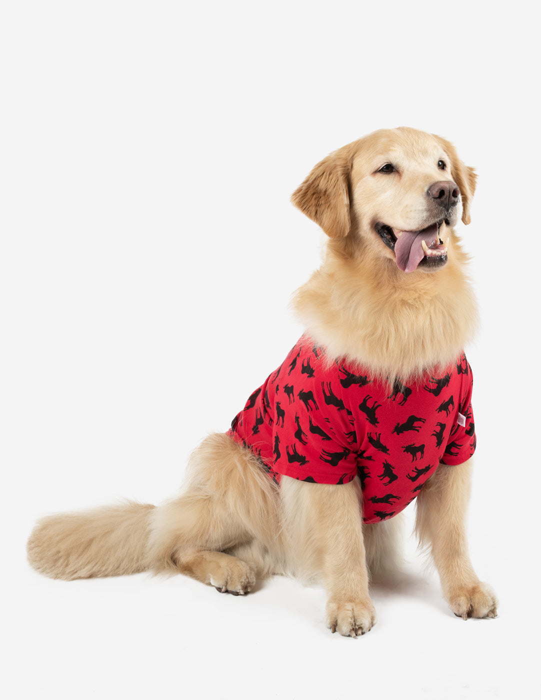 Big sales dog pjs