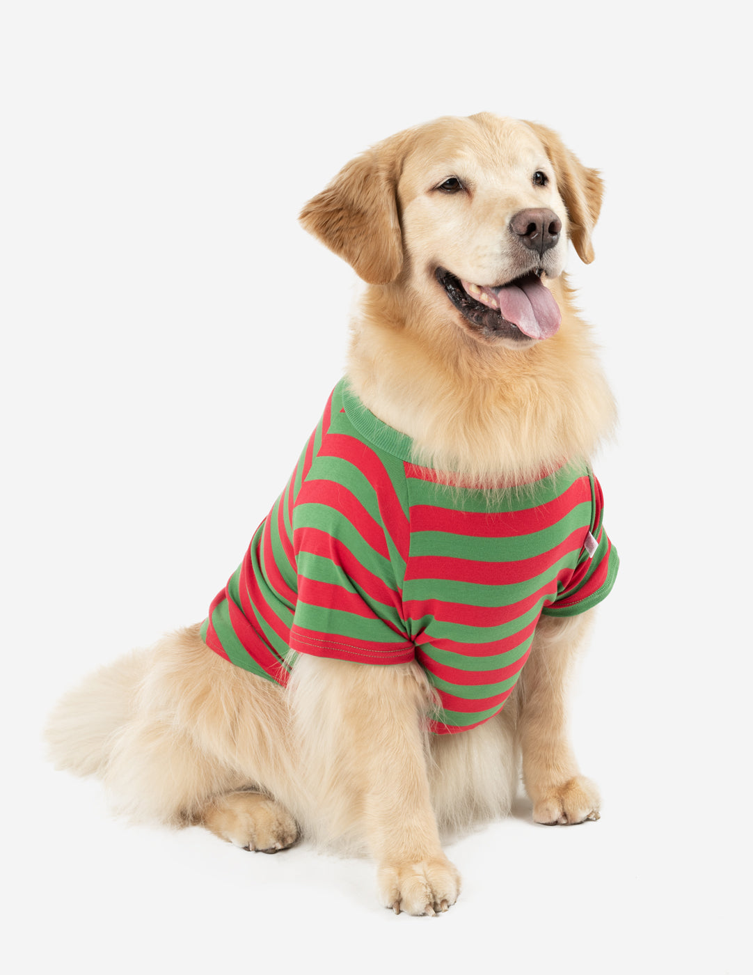 Big dog hot sale christmas jumper