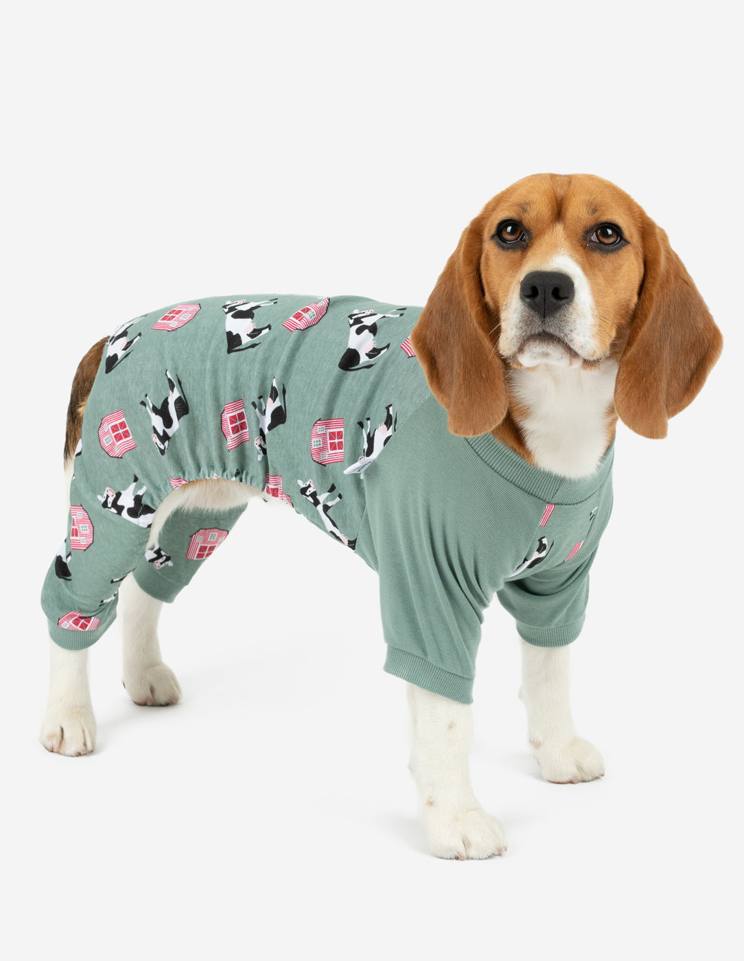 Kids Dog Blue Paw Print Pajamas – Leveret Clothing