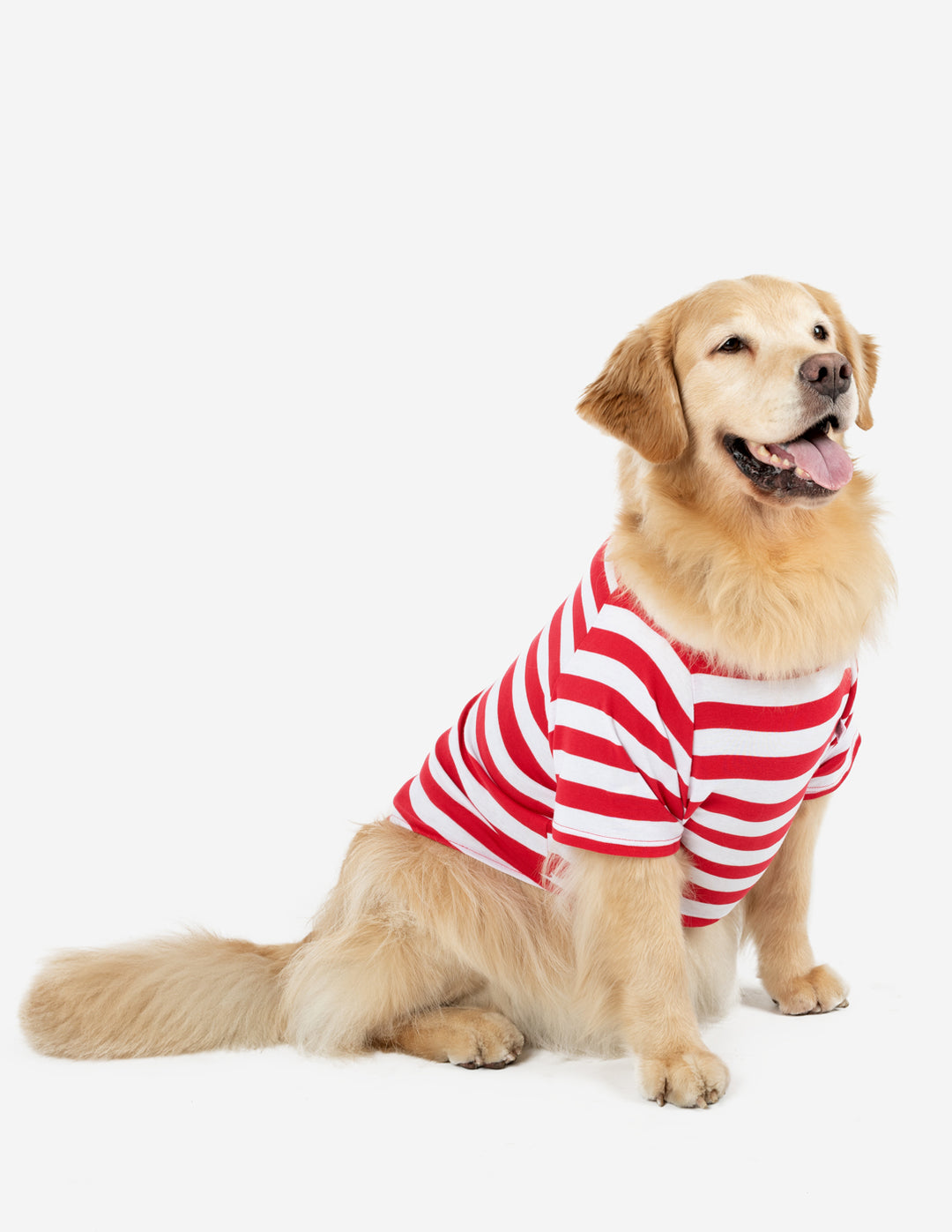 Dog Cotton Puppy Pajamas – Leveret Clothing