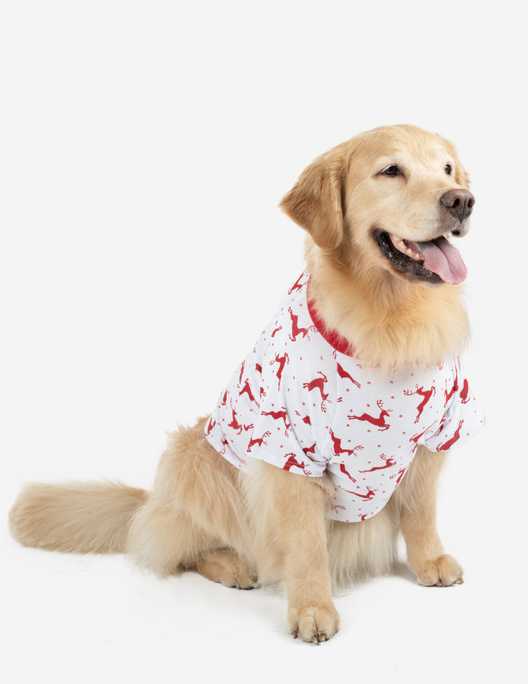 Dog Pajamas - Pajamas for Your Dogs – Leveret Clothing