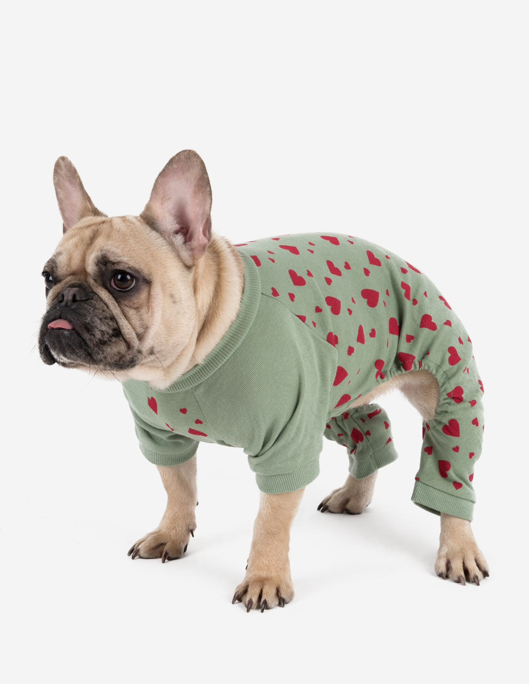 Dog's Solid Color Neutral Pajamas – Leveret Clothing