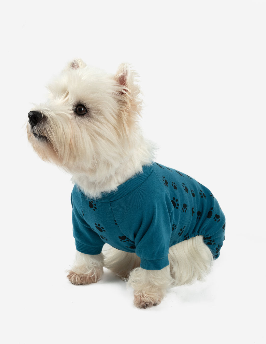 Dog Paw Print Pajamas – Leveret Clothing