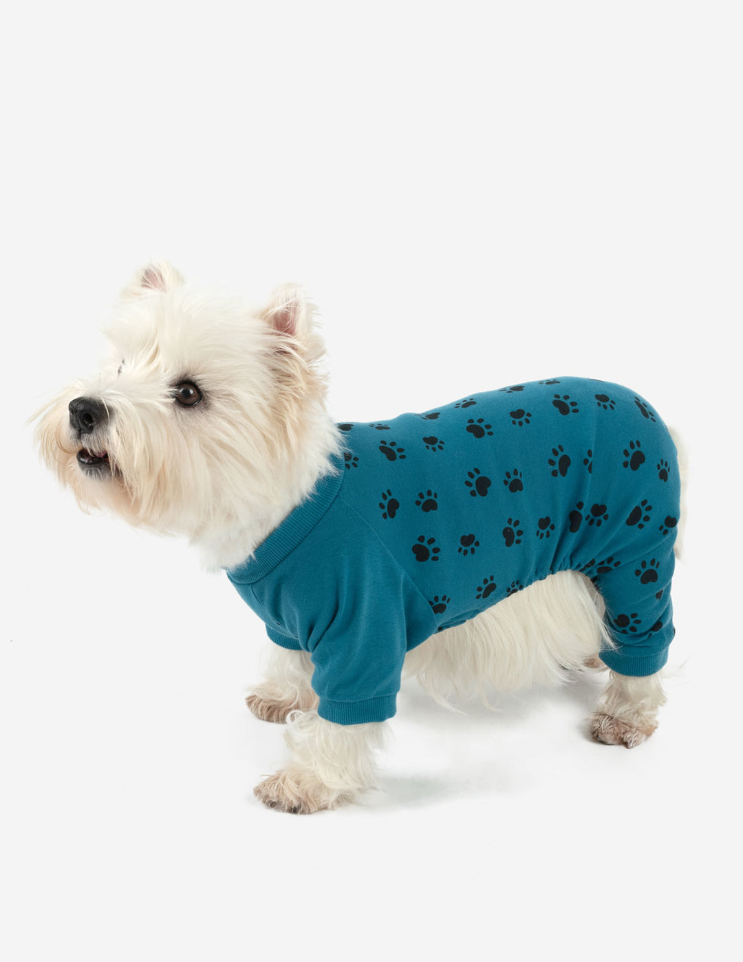 Dog Blue Paw Print Pajamas – Leveret Clothing