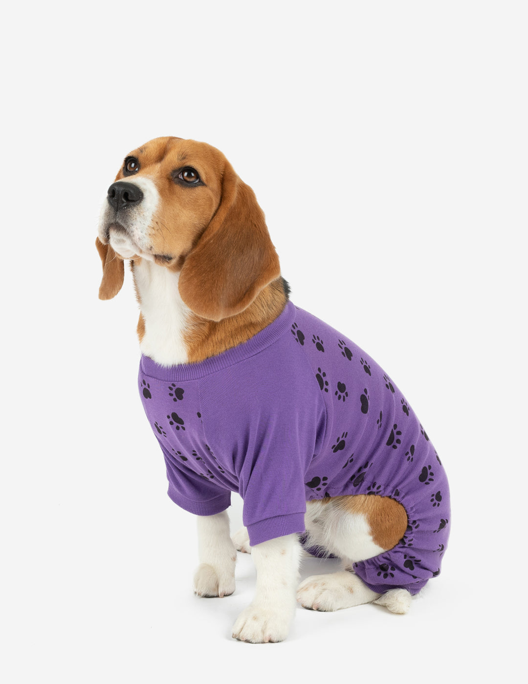 Dog Purple Paw Print Pajamas – Leveret Clothing