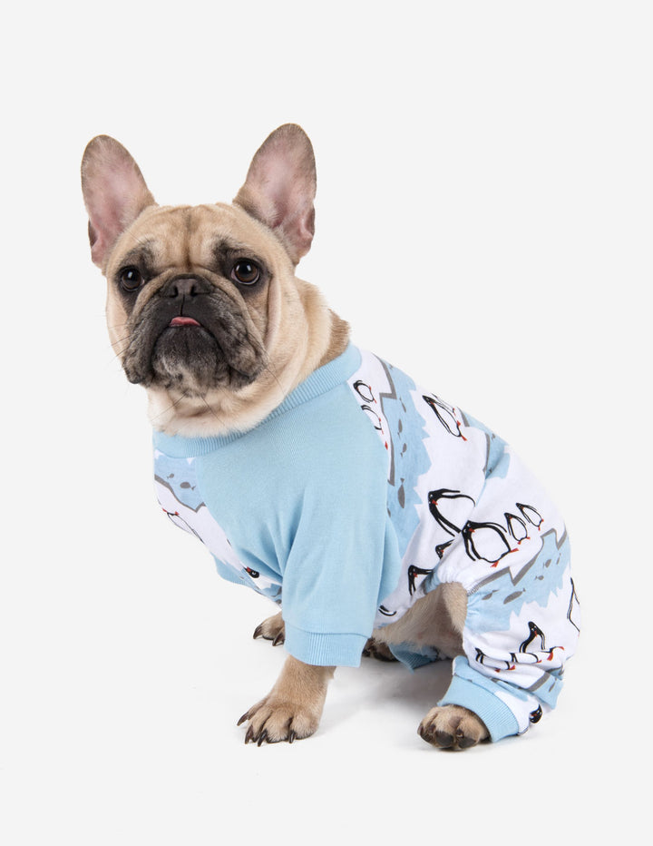 Big Dog Reindeer Pajamas – Leveret Clothing