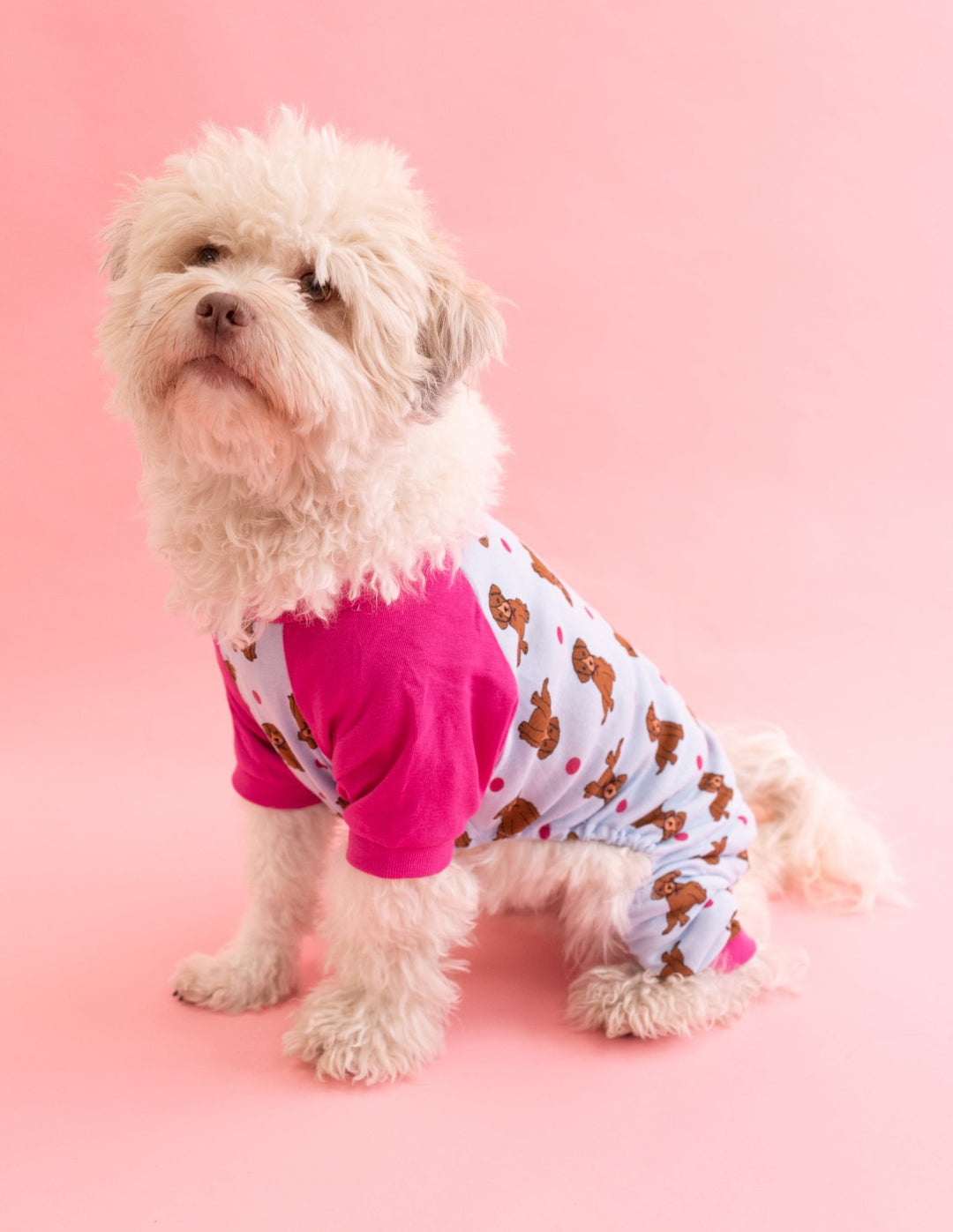 Dog's Solid Color Neutral Pajamas – Leveret Clothing
