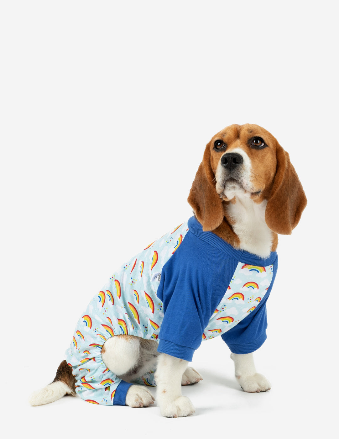 Dog Blue Rainbow Pajamas Leveret Clothing