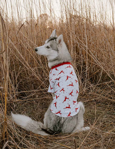 Big Dog Reindeer Pajamas – Leveret Clothing